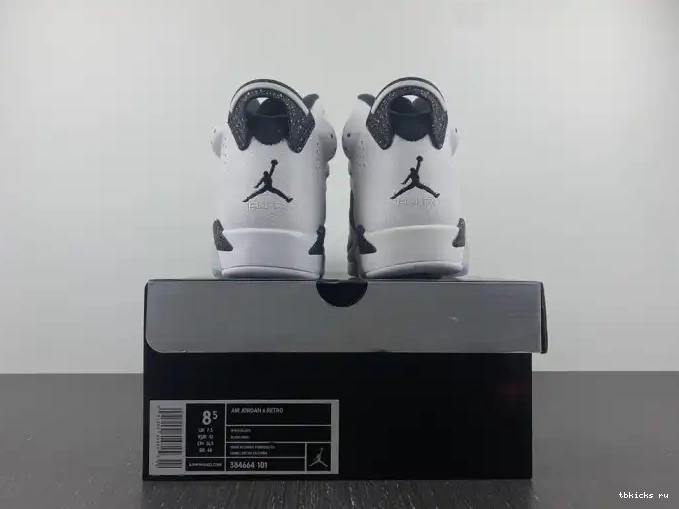 Reps TB Jordan Oreo Retro 6 384664-101 0614